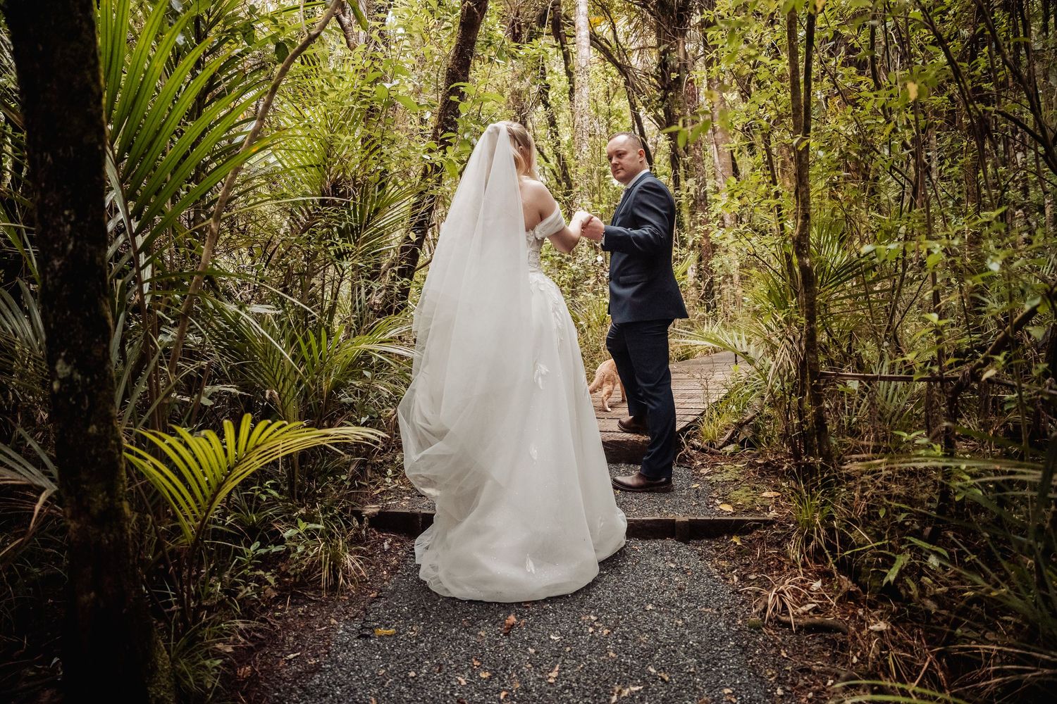Romantic wedding portraits captured on winding forest path.