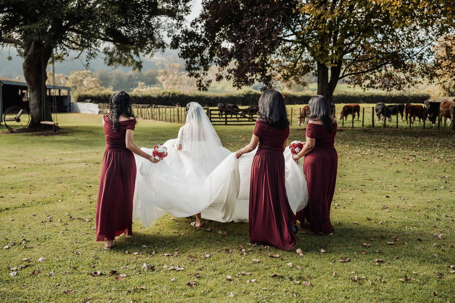 Bride in white gown with bridesmaids in burgundy dresses holding veil on green lawn at outdoor wedding.