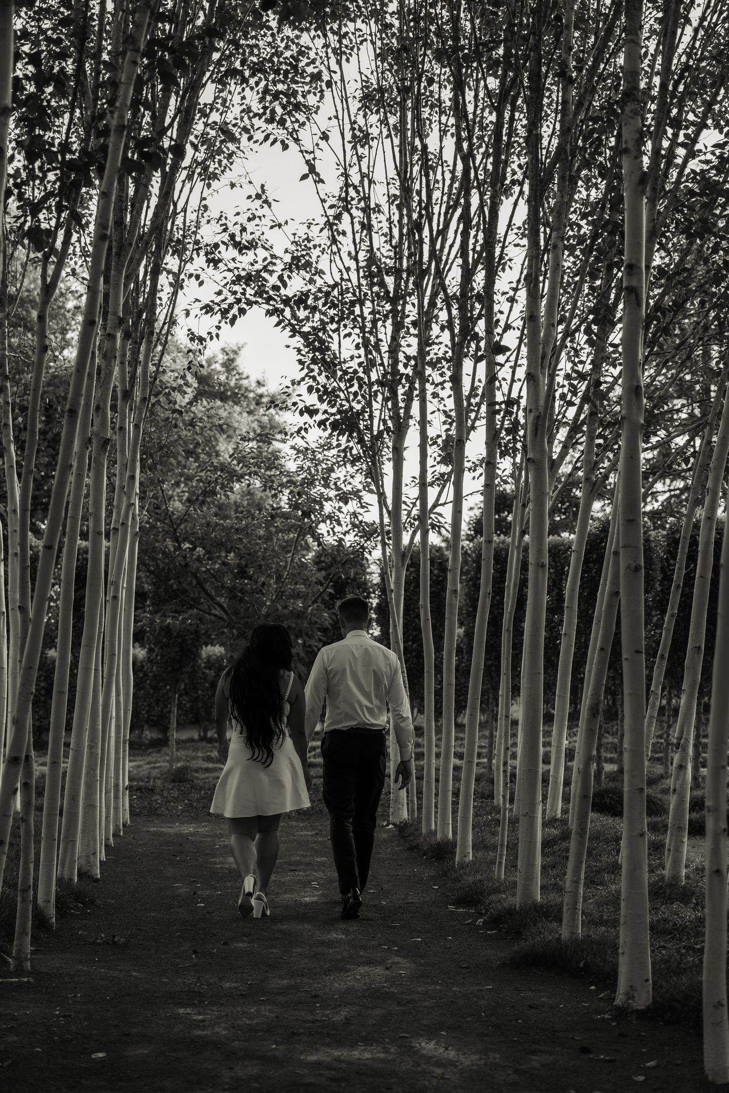 Black and white photo of couple walking hand-in-hand through birch tree lined path.