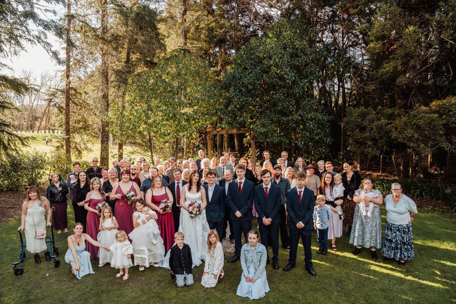 Large wedding party group photo on sunny lawn surrounded by tall trees and lush greenery.