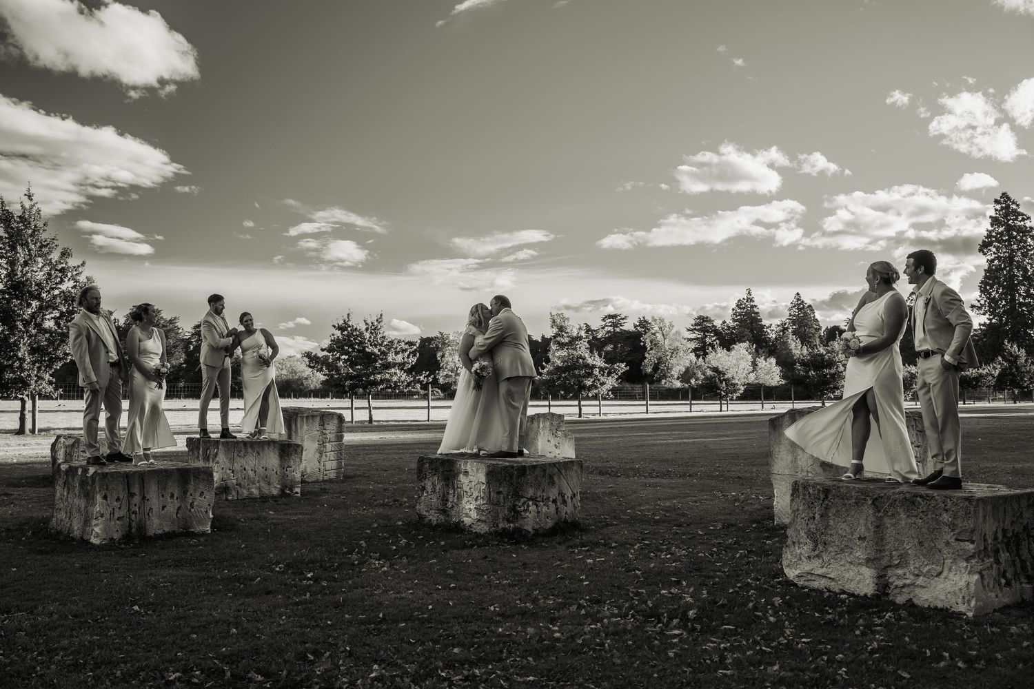 Black and white photo of wedding party posing on stone blocks in open field.