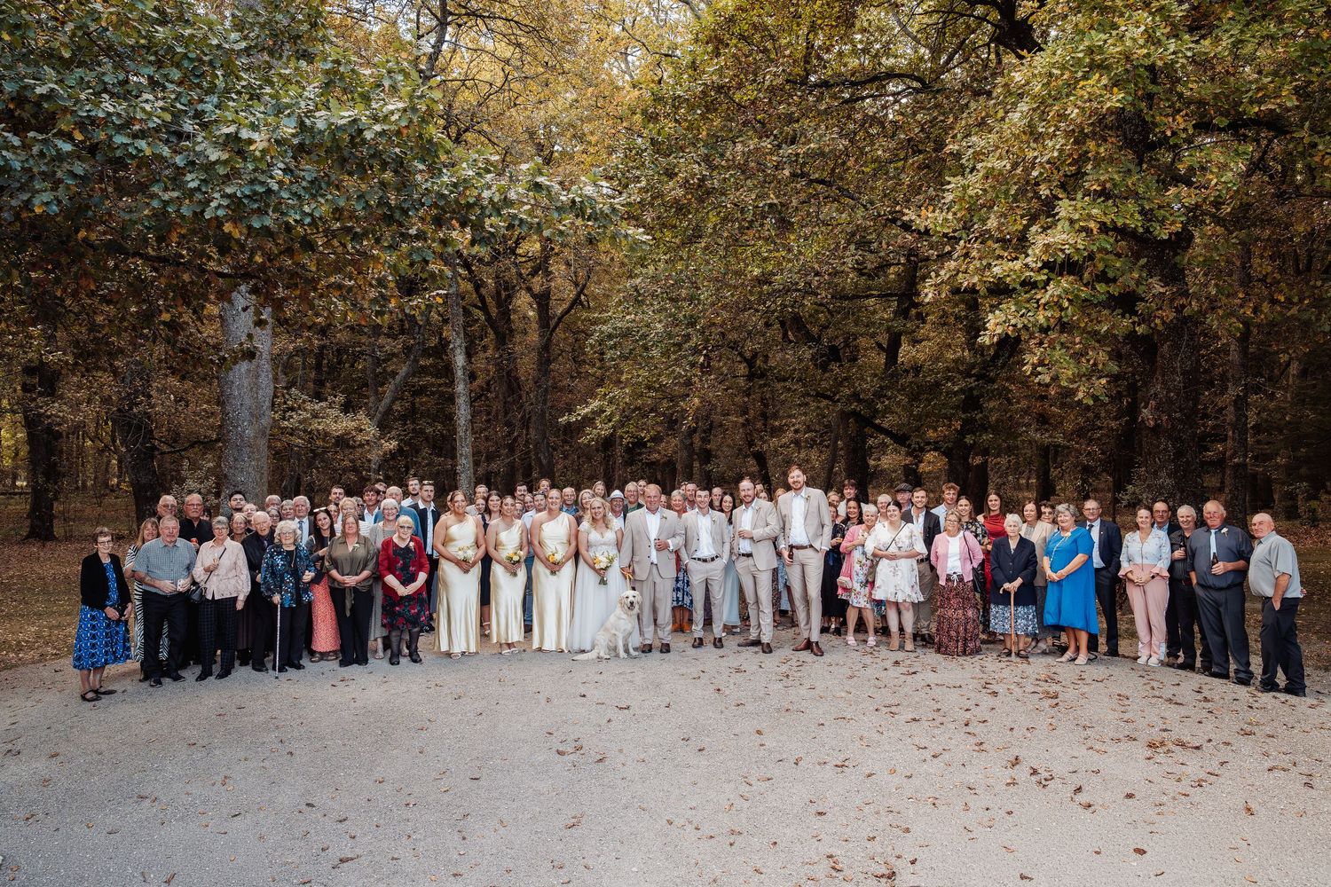 Large wedding party and guests pose for group photo among autumn trees at outdoor venue.
