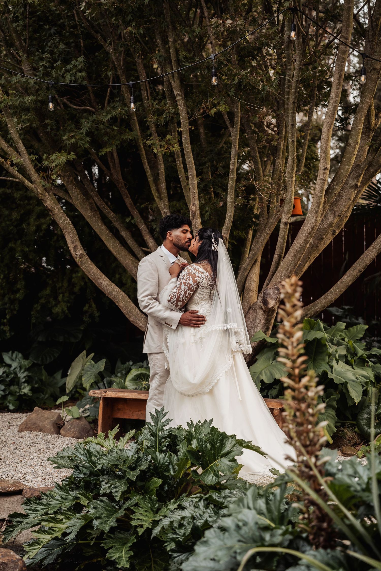 Bride and groom embracing and kissing among tall trees and tropical foliage in a garden setting.