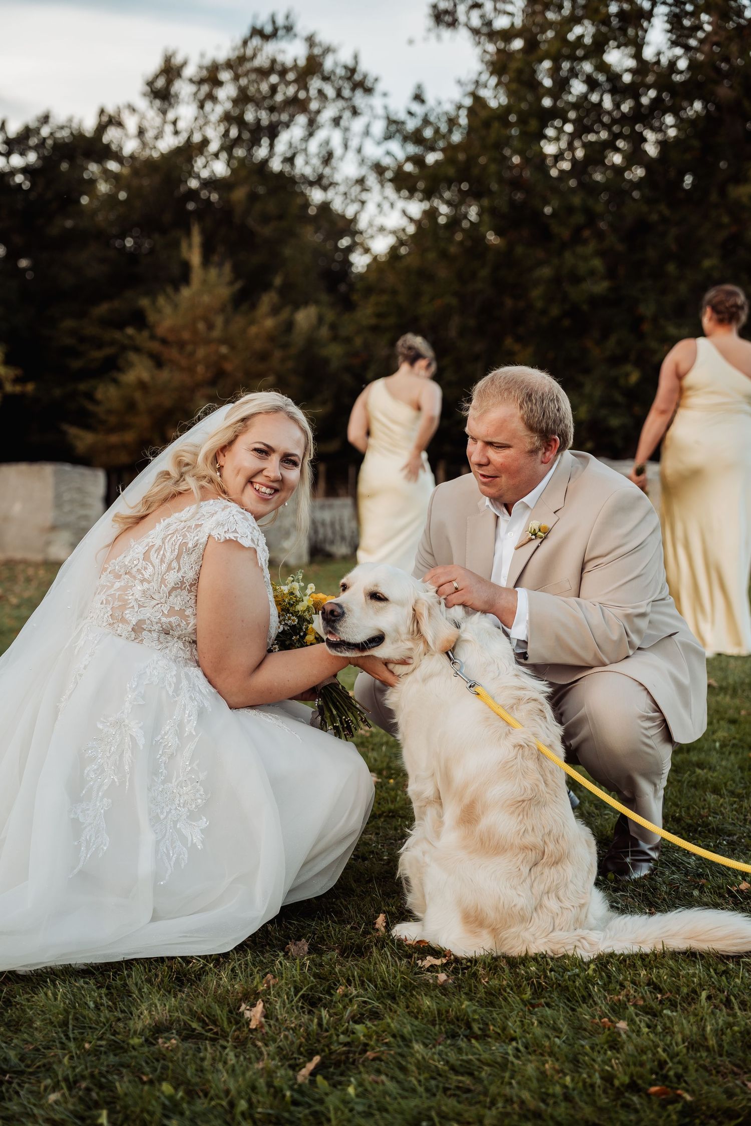 Bride and groom crouch down to pet a golden retriever with a yellow leash on the wedding venue lawn.