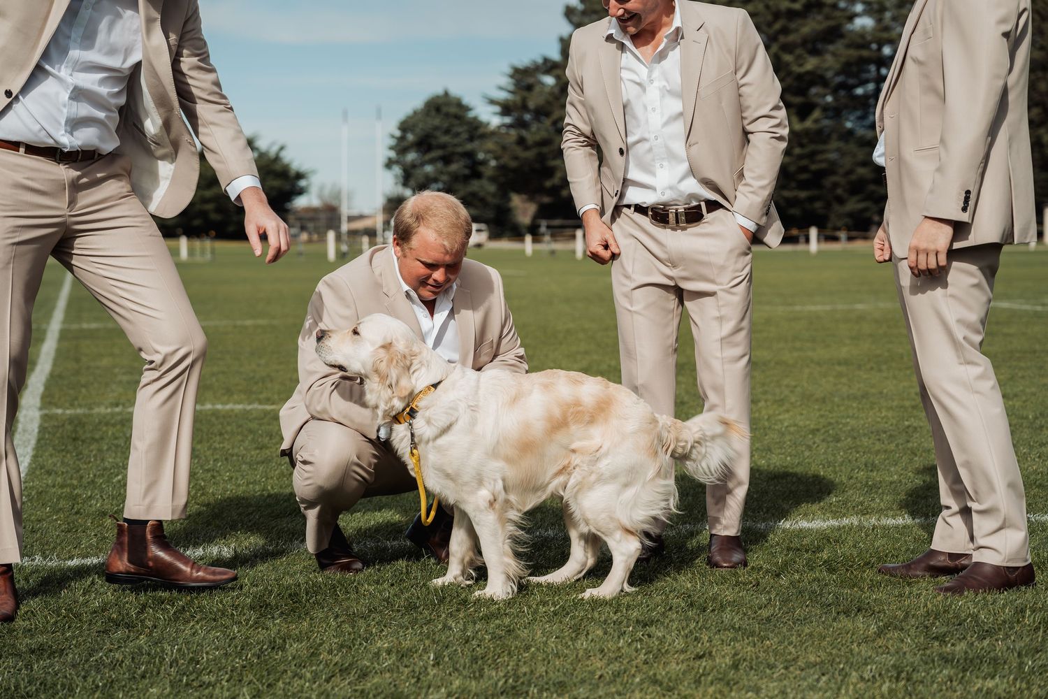 Men in tan suits gather on a green field, one crouching to pet a golden retriever wearing a yellow ribbon.