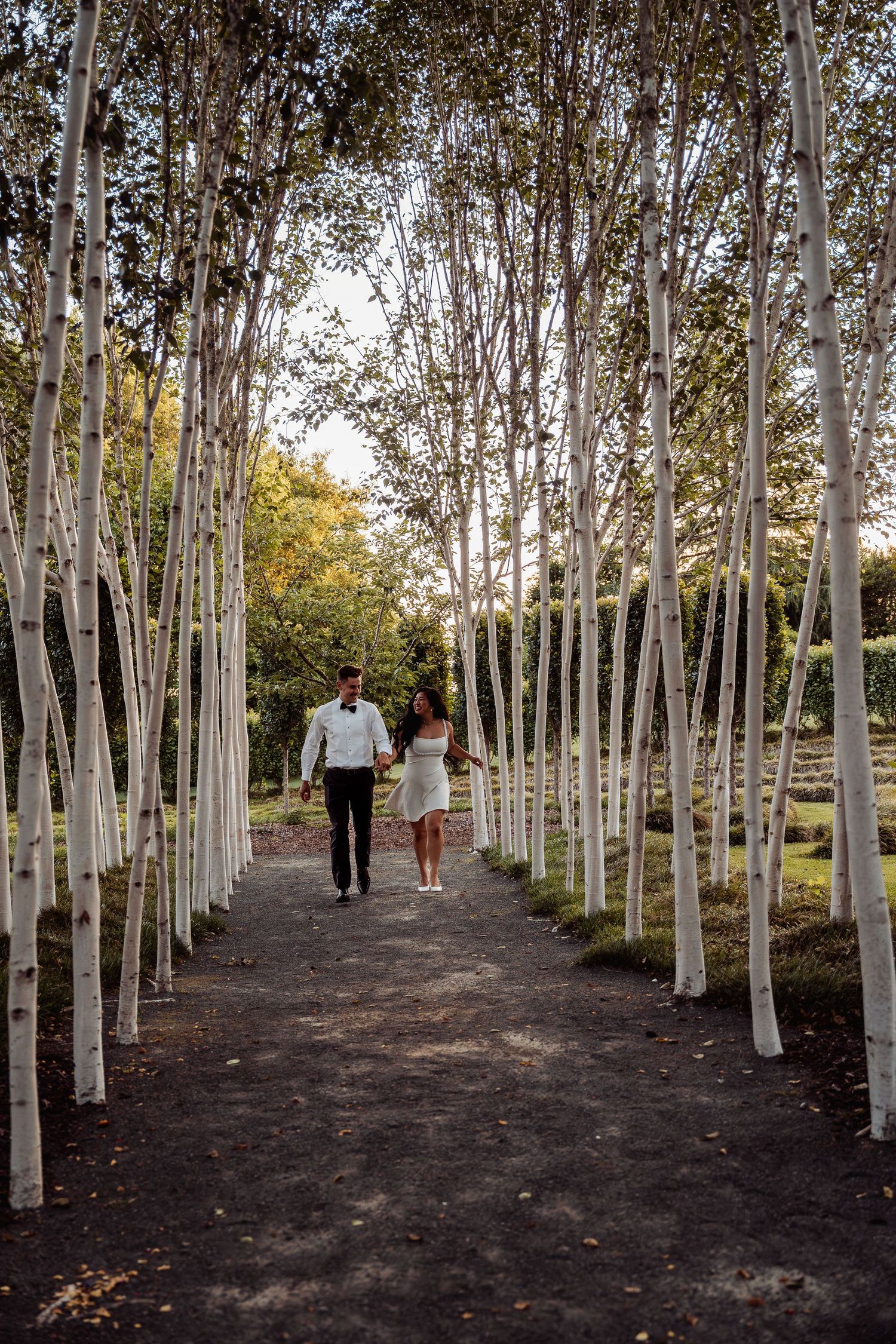 Bride and groom walk hand in hand through scenic birch tree lined garden path.