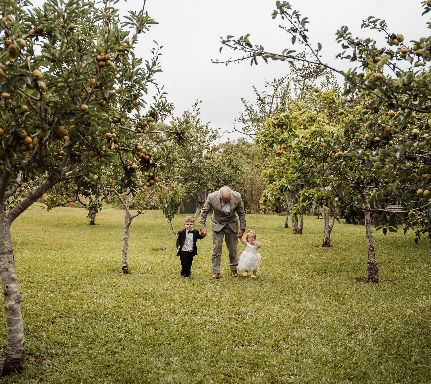 Groom in grey suit walking with two young children dressed in wedding attire through an apple orchard.