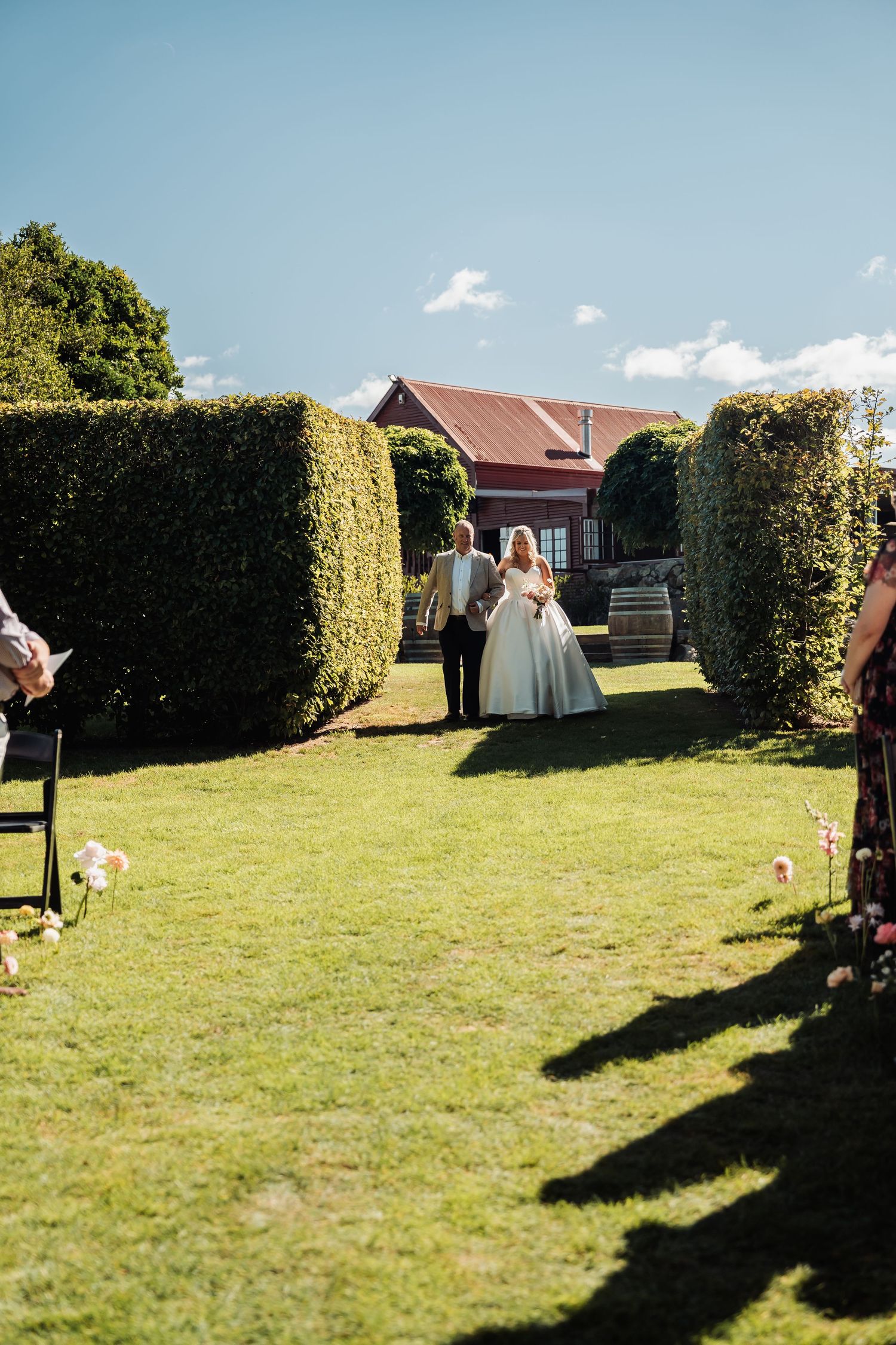 Bride walks down outdoor wedding aisle flanked by hedges on sunny day.