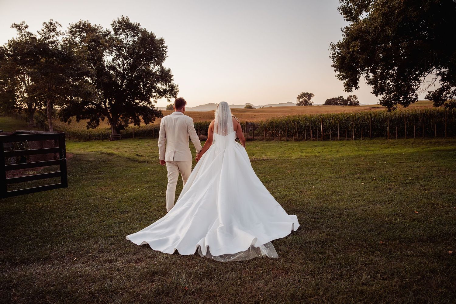 Bride and groom holding hands walking toward sunset cornfield, bride in flowing white gown with veil, groom in tan suit.