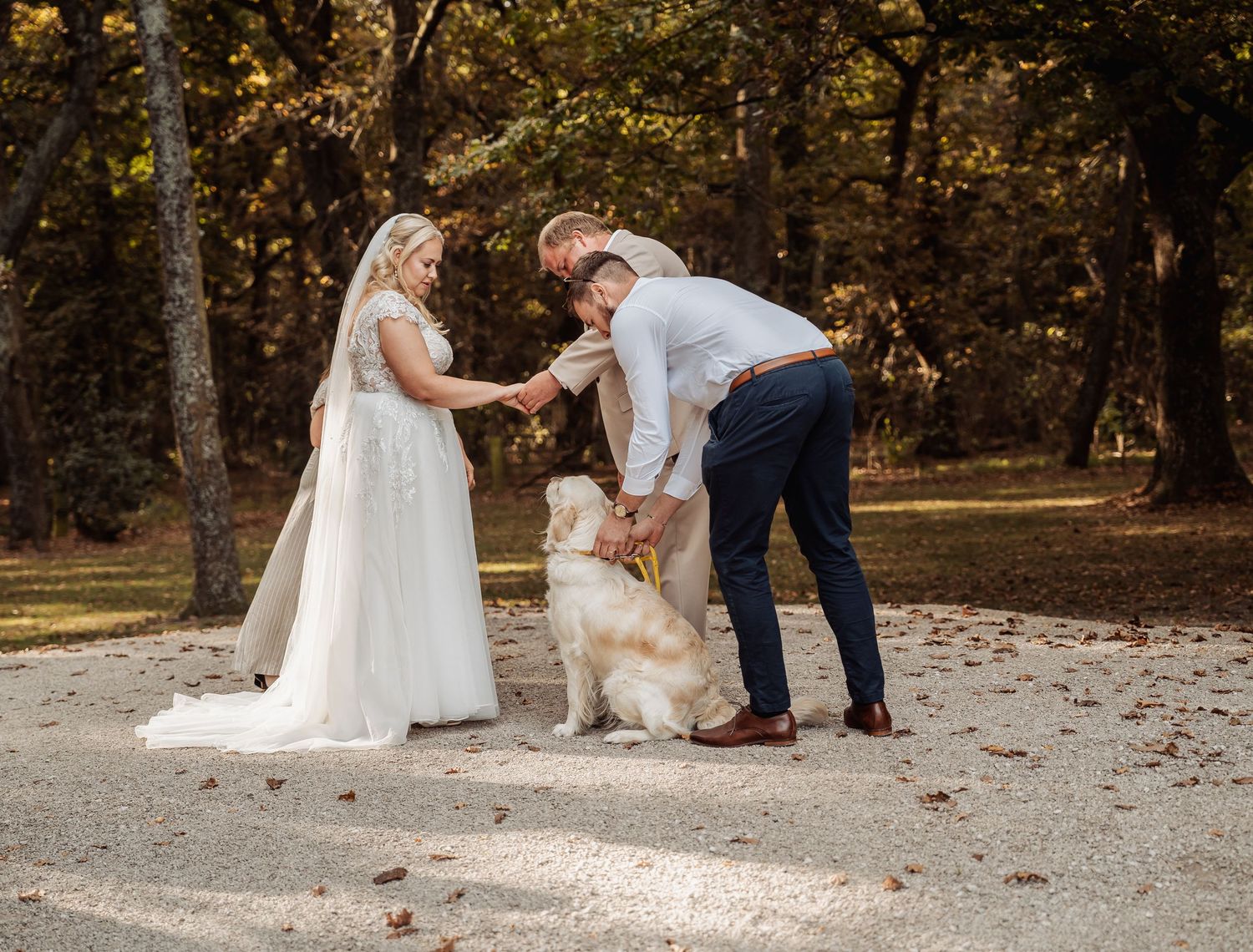 Bride and groom petting their golden retriever dog during fall outdoor wedding.