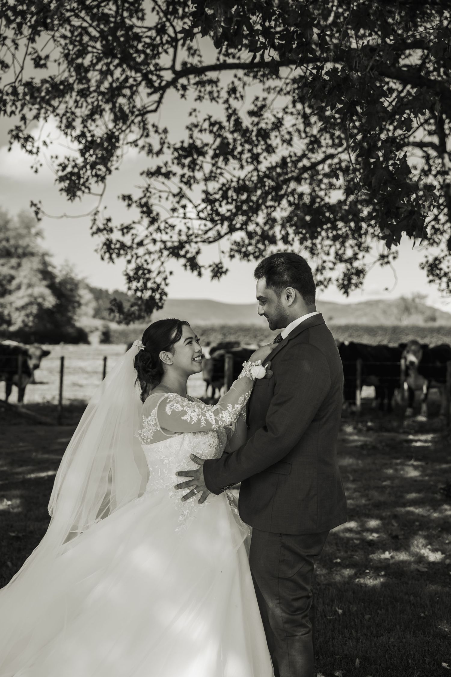 Black and white photo of bride and groom embracing under tree with cattle in background.