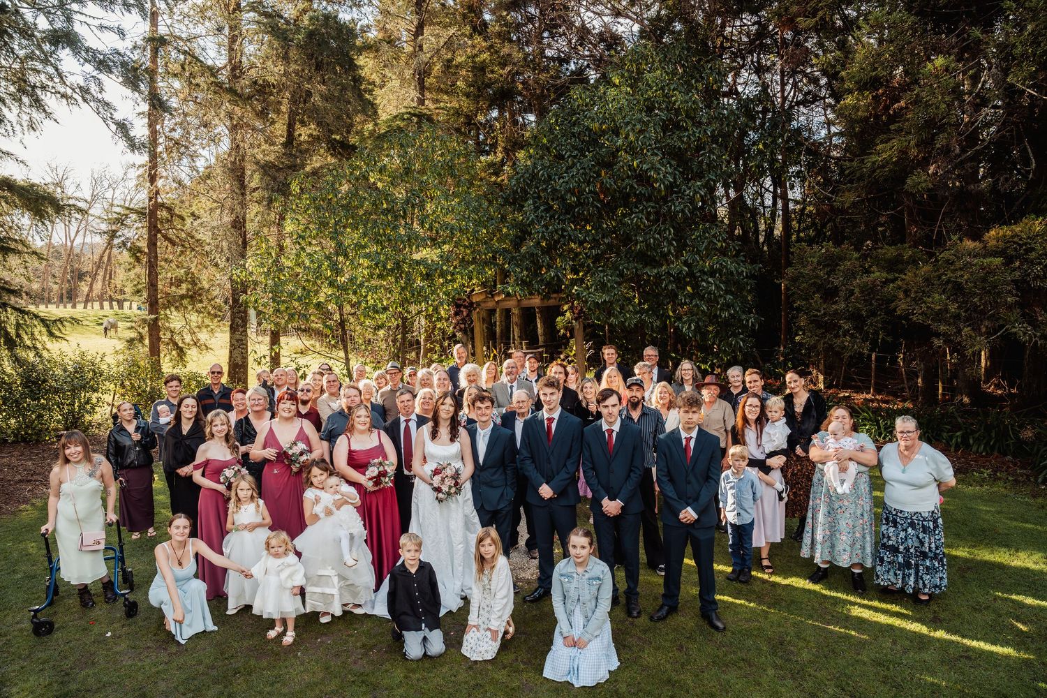 Large wedding party and guests pose together for a group photo on a sunny lawn surrounded by tall trees.