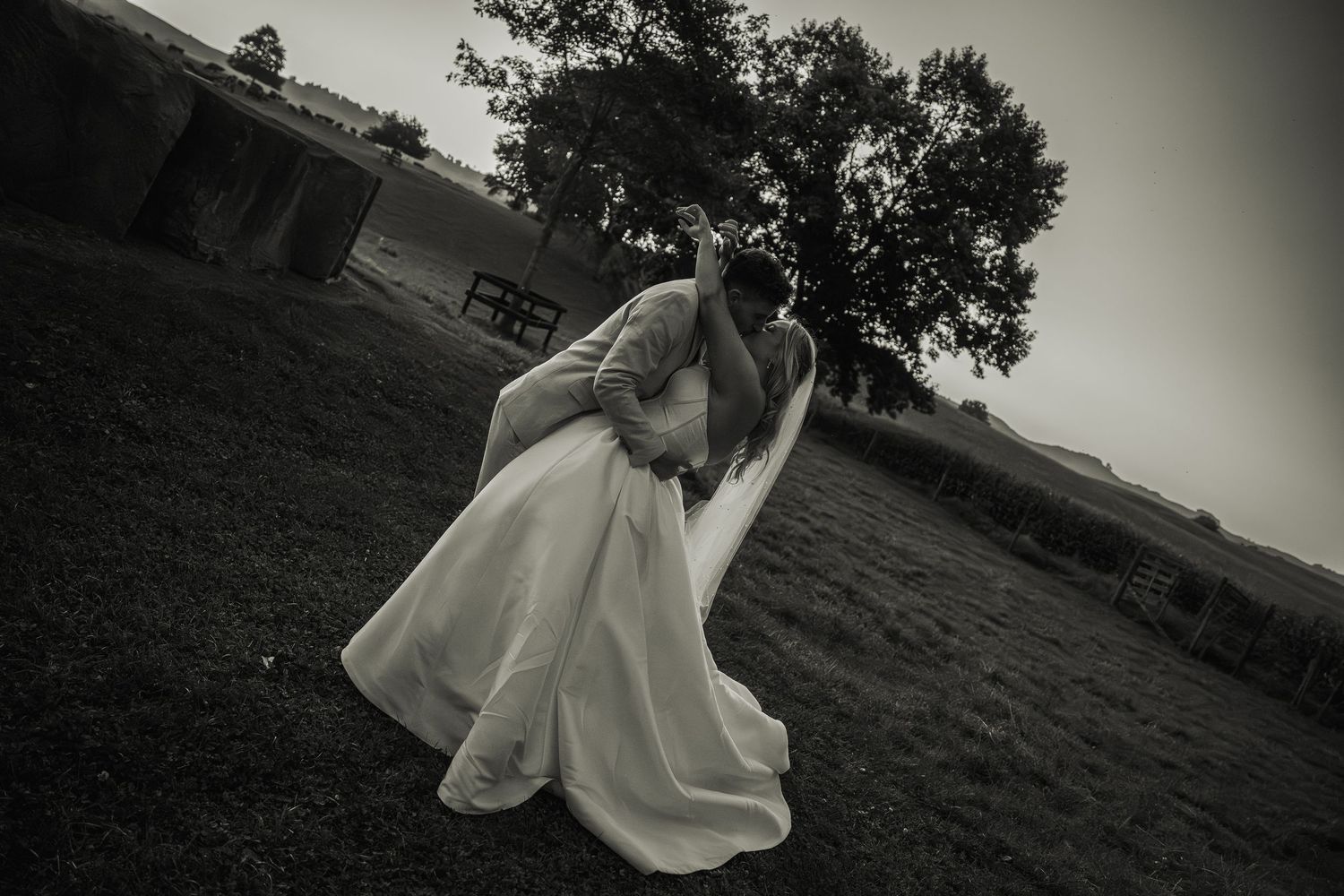 Black and white photo of groom dipping bride in open field with a lone tree in the background.