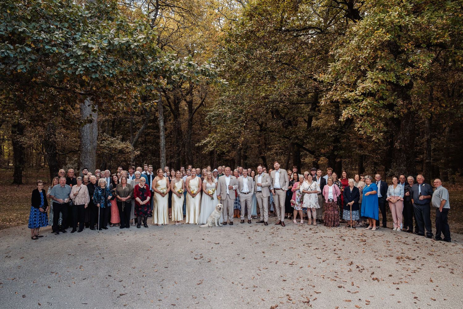 Large wedding group photo with guests gathered outdoors among tall trees on a gravel path.