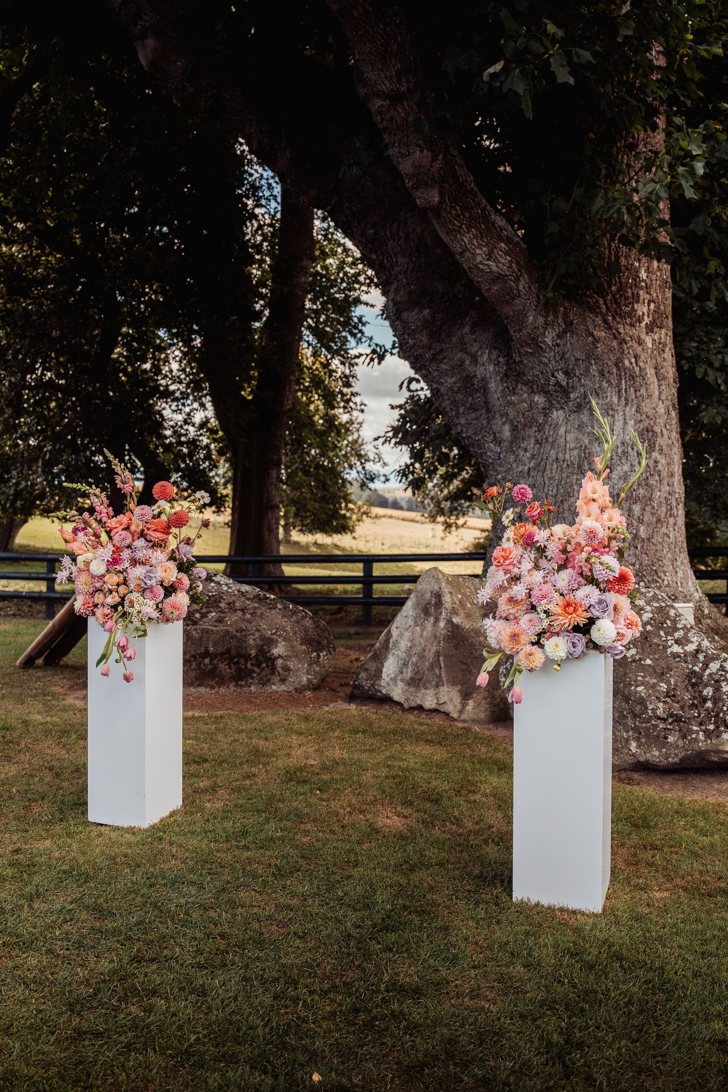 Two white pedestals topped with lush pink and coral floral arrangements stand on green grass beneath a large tree.