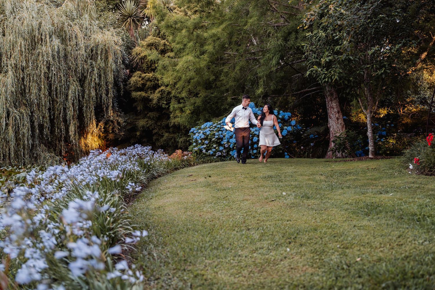 Couple runs hand-in-hand through colorful garden with blue hydrangeas and willow tree.
