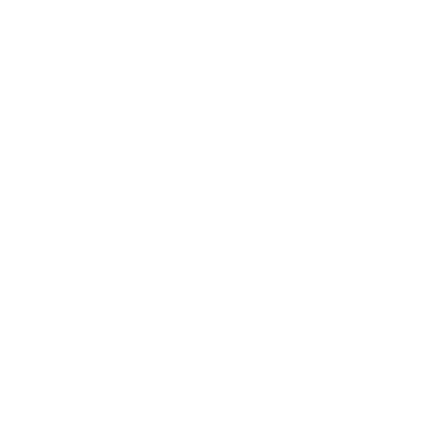 Captive Visuals