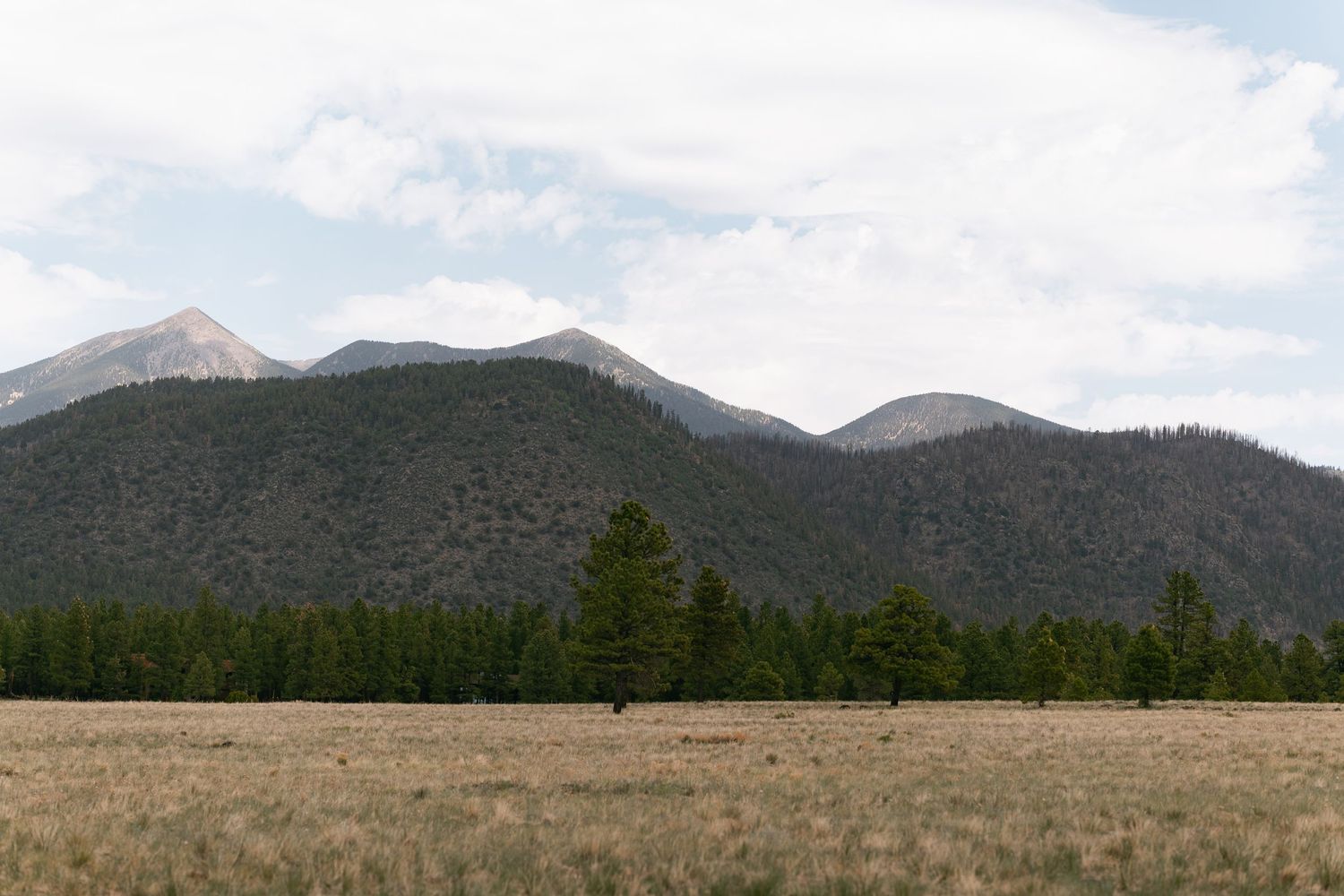 Mountain range with forested slopes rises above a dry grassland plain beneath a partly cloudy sky.