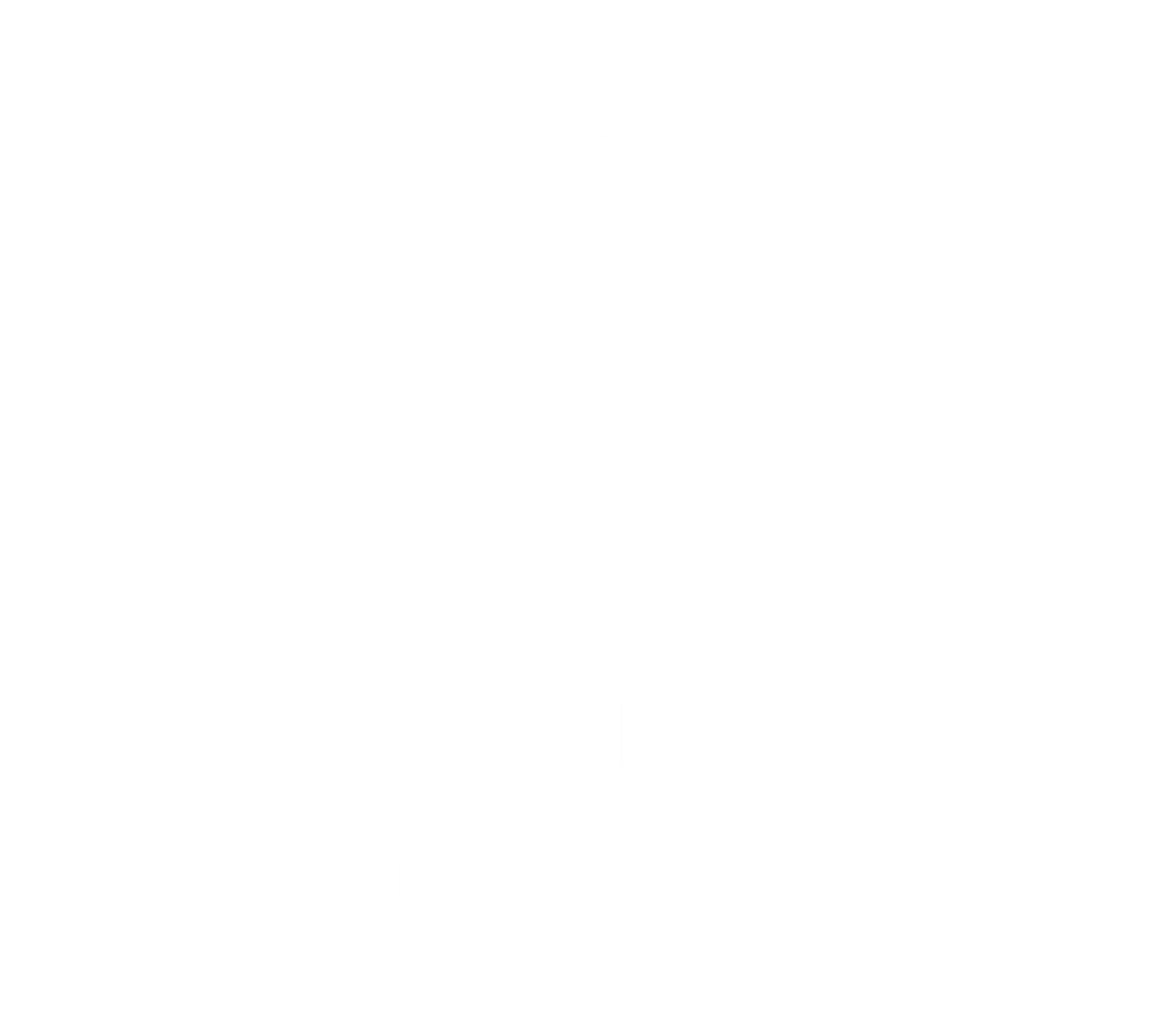 Captive Visuals