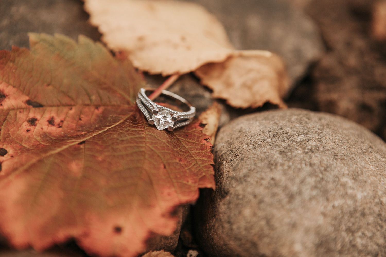 A diamond engagement ring rests on autumn leaves in warm lighting.