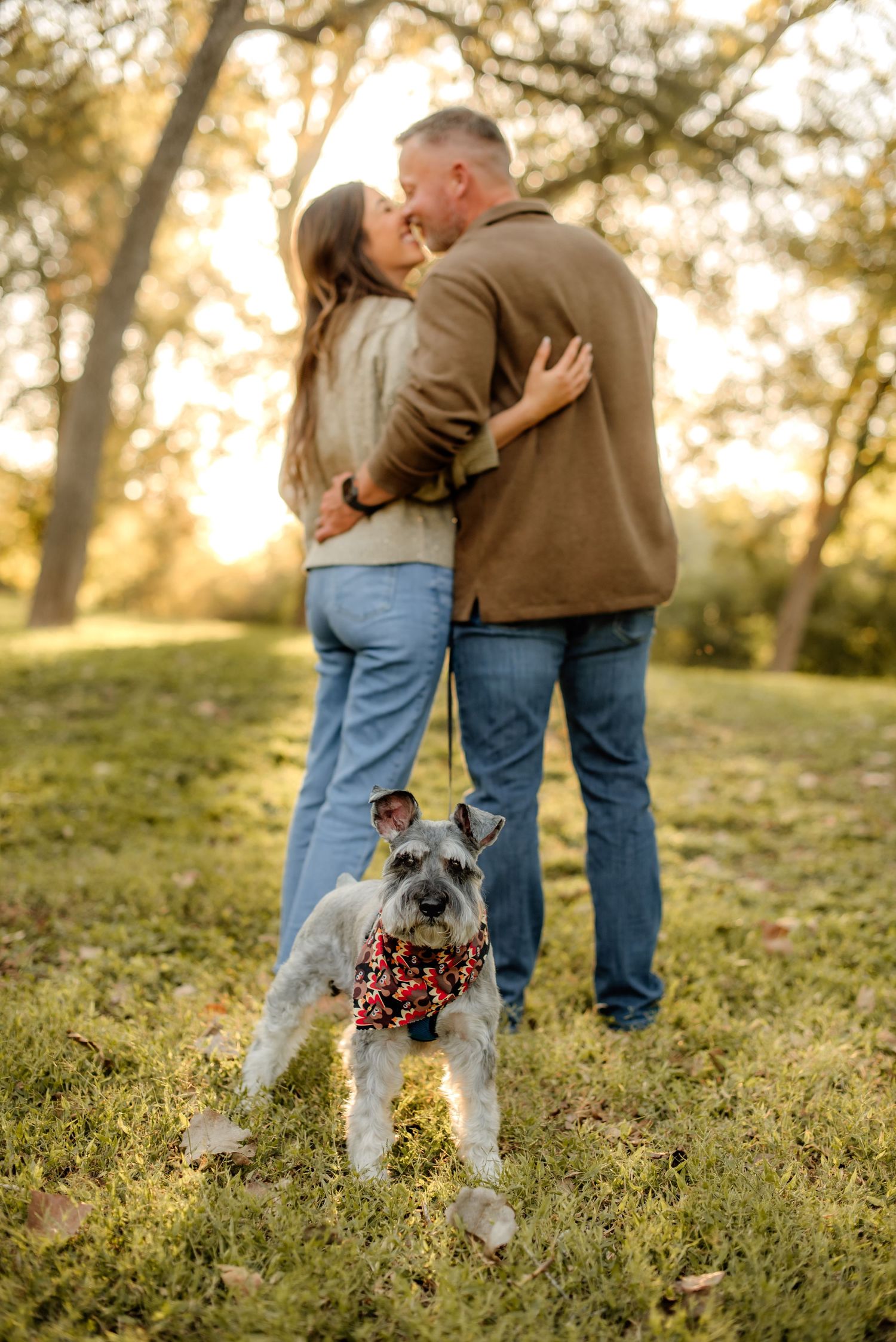pet portrait photographer