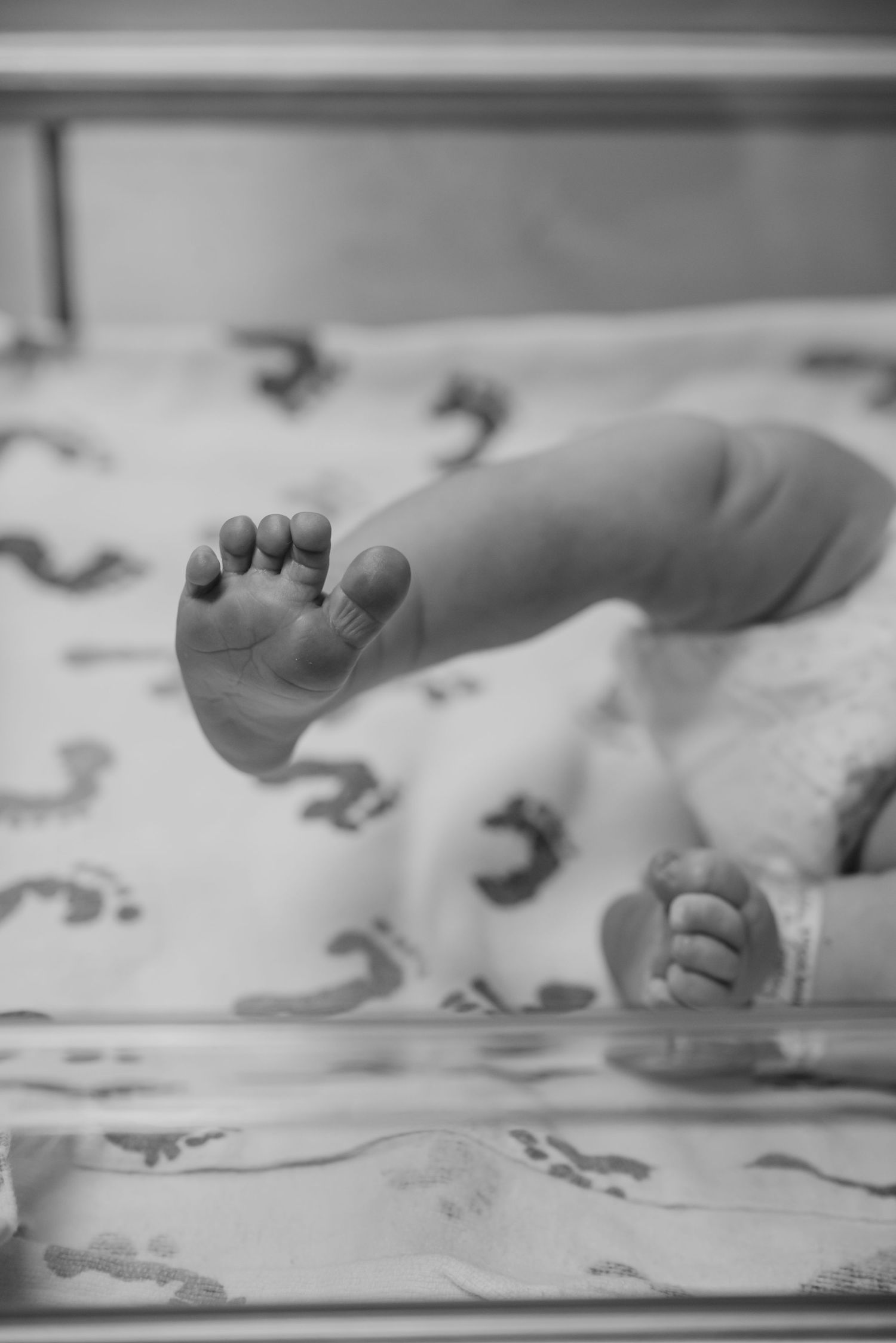 Black and white photo of newborn baby feet and hands in hospital bassinet.