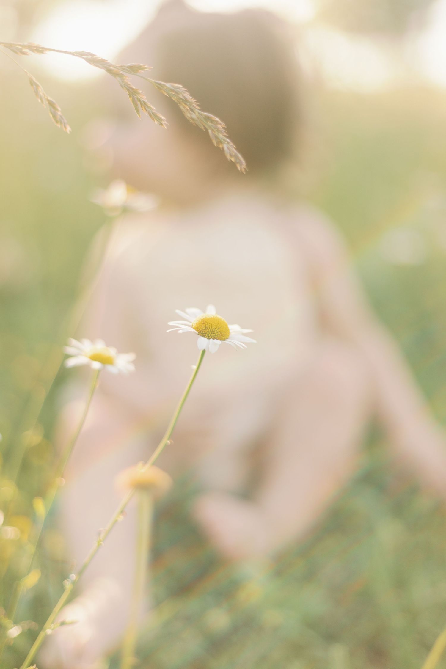 Soft-focus springtime portrait of a baby sitting in a sunlit field, with wildflowers in the foreground in Springfield, Missouri.