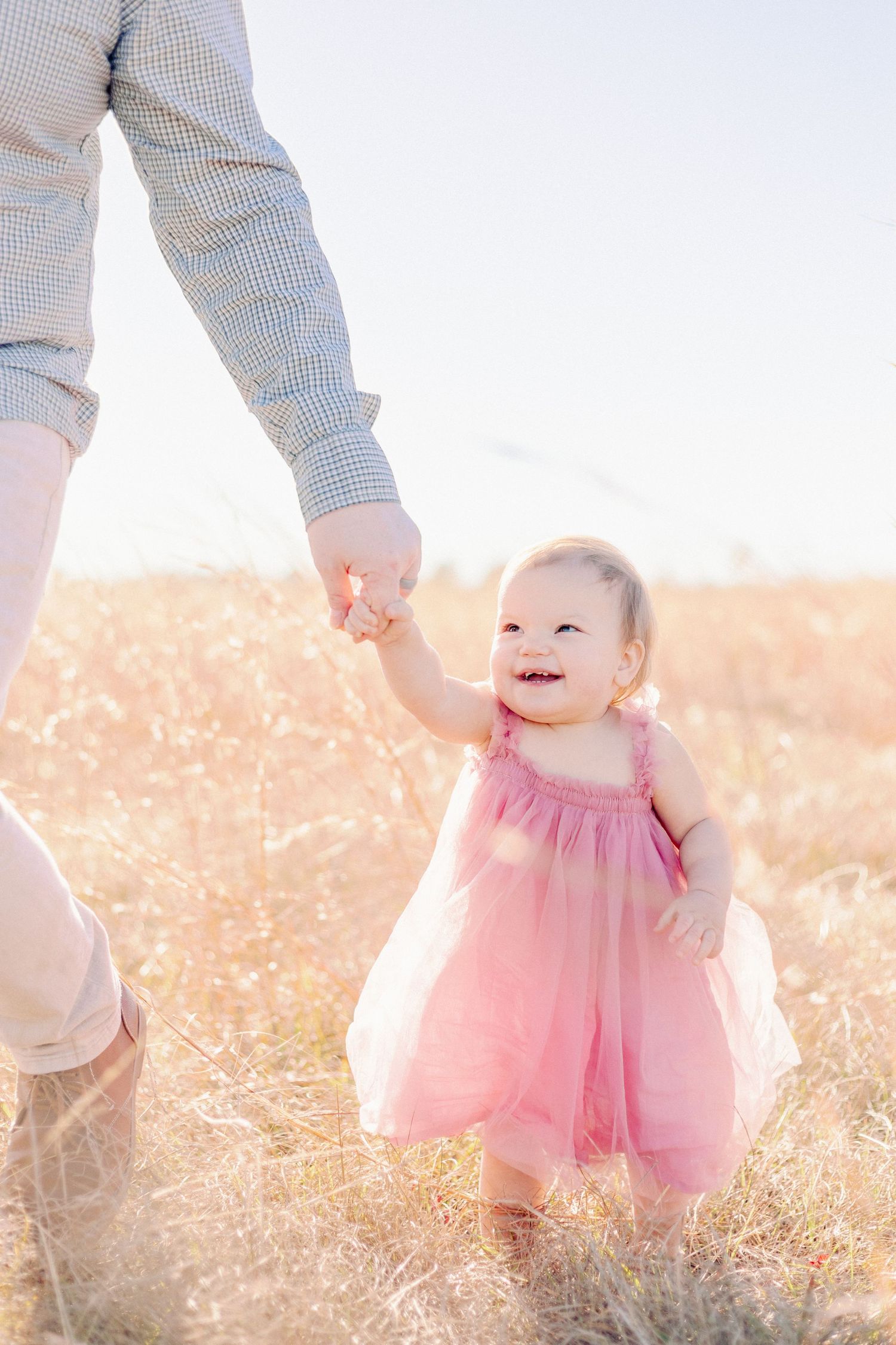 Sweet baby wearing pink dress holds parent's hand while walking in golden sunlit field during sunset by Springfield MO Photographer