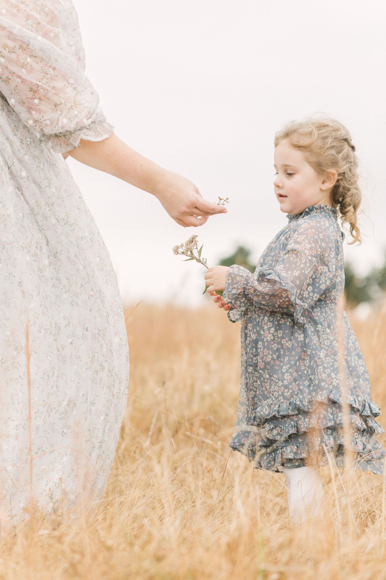 Springfield, MO family photographer captures a sweet moment between mother and daughter, sharing wildflowers in a golden field.