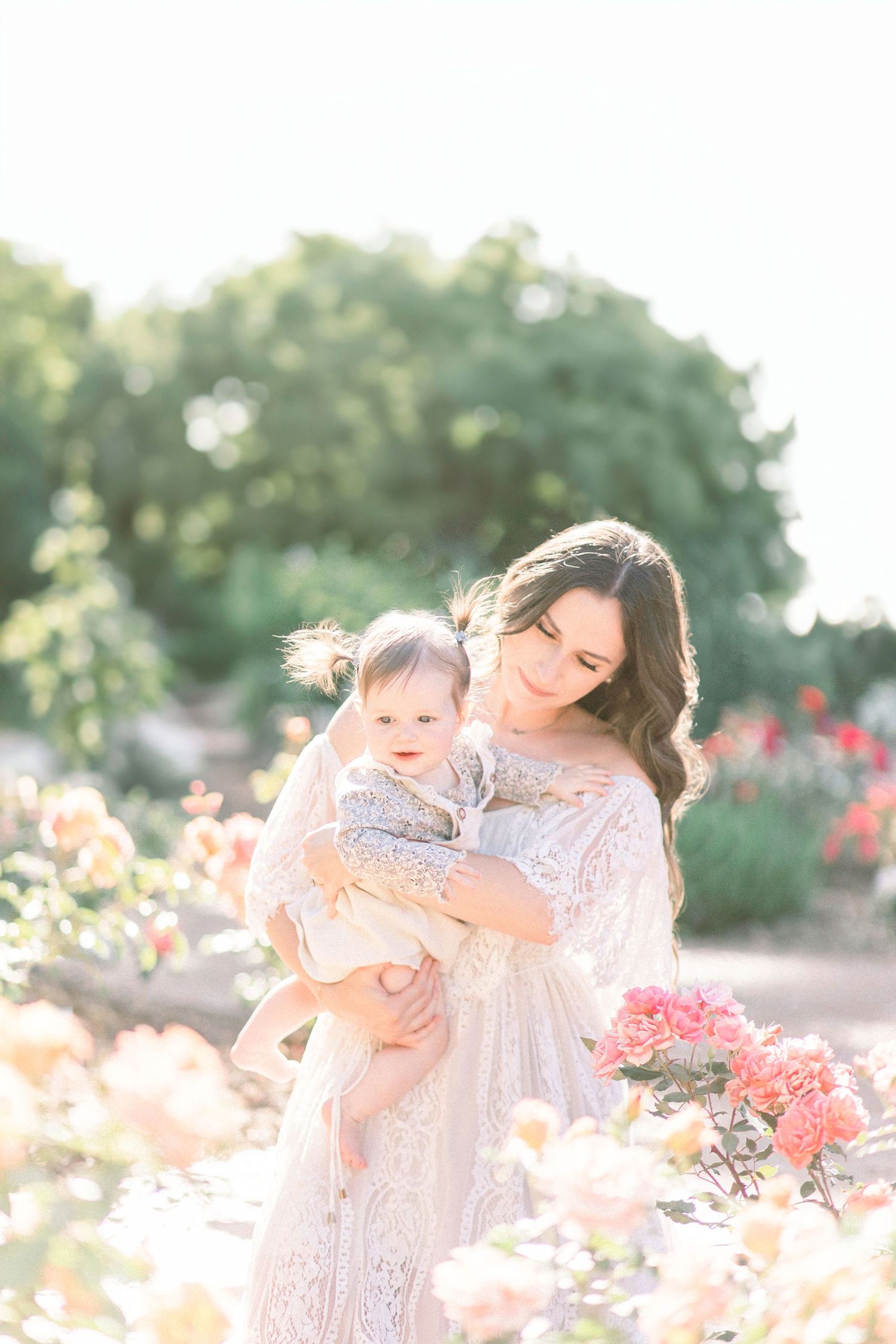 A dreamy portrait in a rose garden shows a tender moment between parent and child in soft sunlit surroundings in Springfield, Missouri.