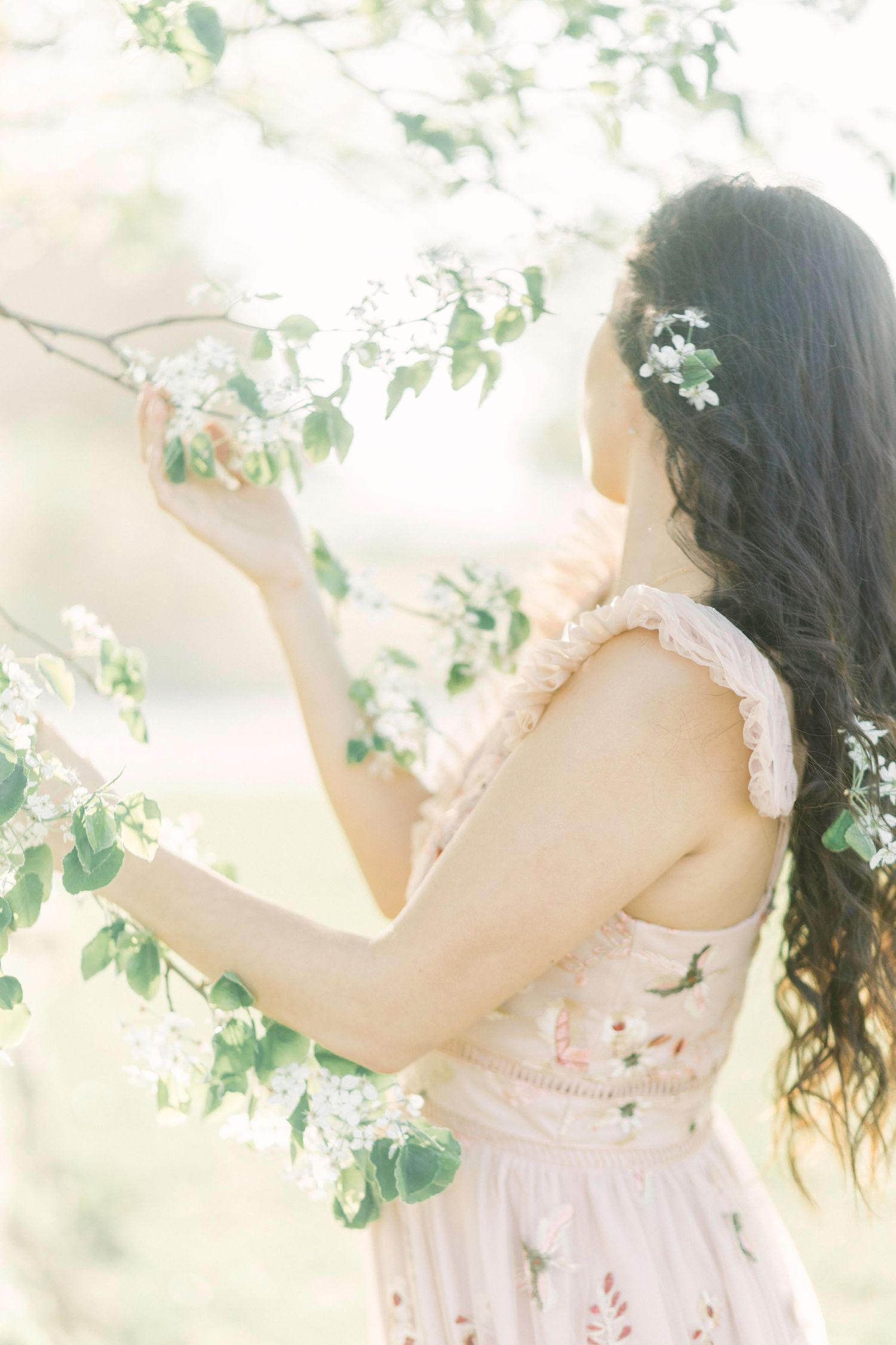 A dreamy ethereal portrait in soft light showing someone in a white dress reaching toward delicate spring blossoms in Springfield, Missouri.
