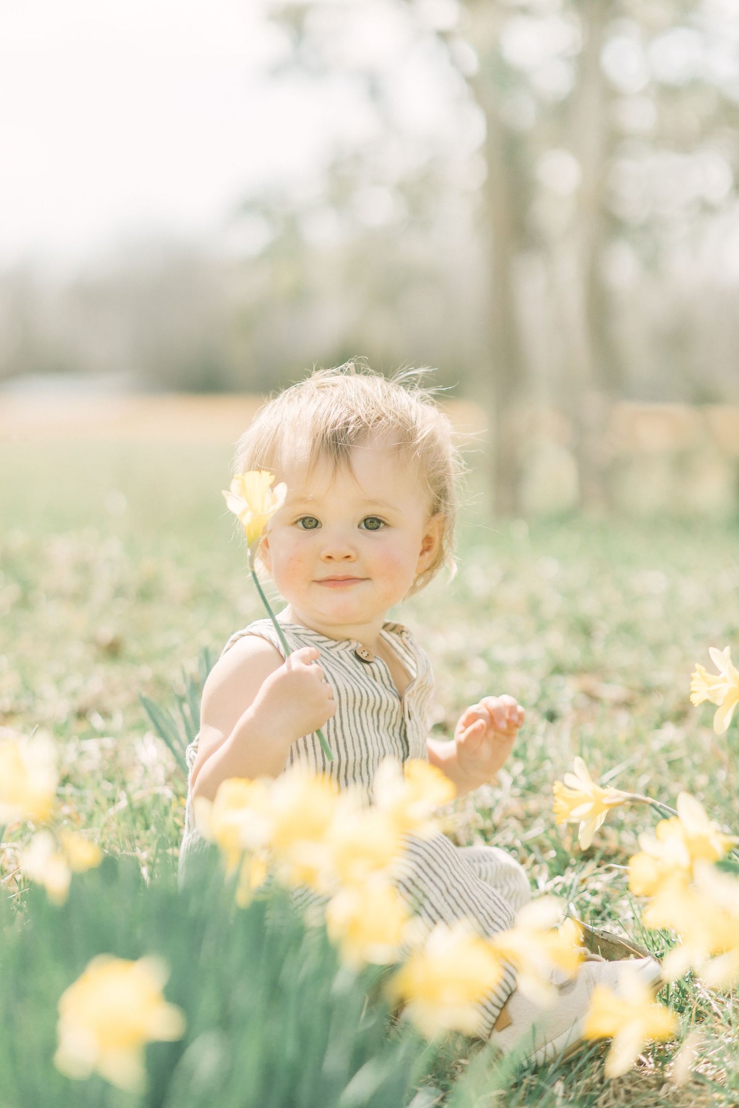 A small child in a striped romper sits among blooming yellow daffodils in a dreamy spring garden setting in Springfield, Missouri.