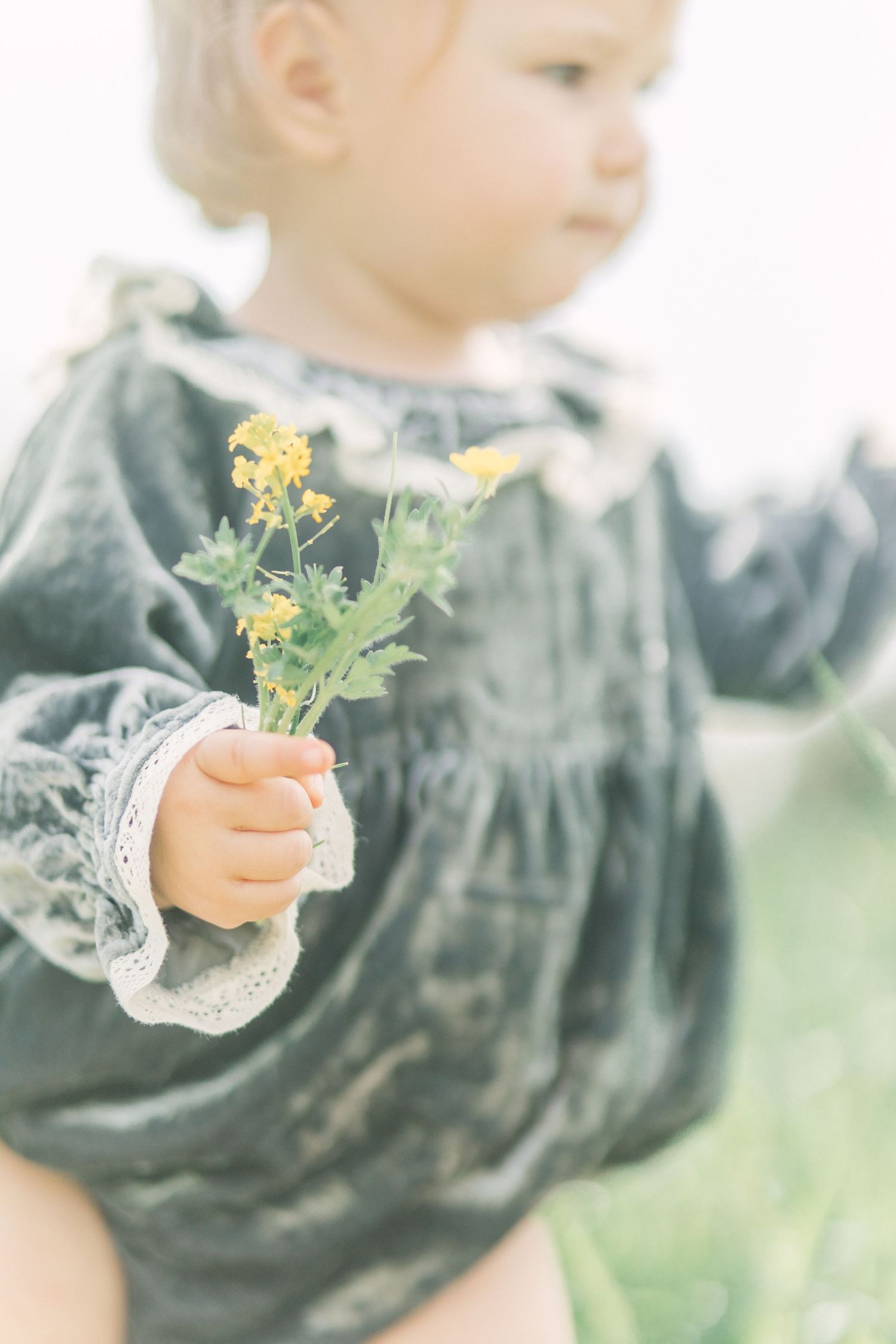 A young child in a vintage-style velvet romper with lace trim holds small yellow wildflowers in her hand in Springfield, Missouri.