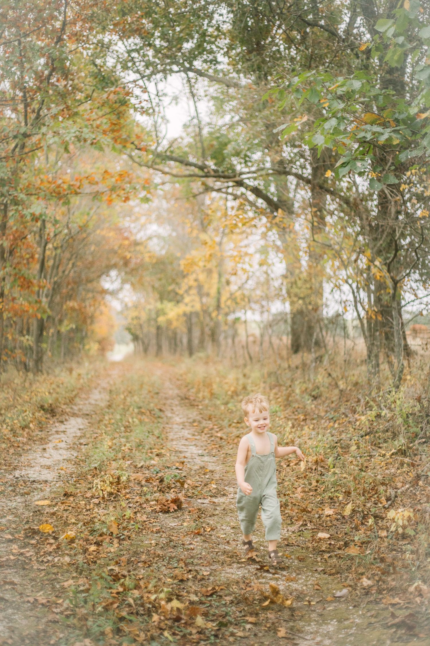 A dirt path through autumn woods covered in fallen leaves creates a dreamy natural scene on a misty day in Springfield, Missouri.