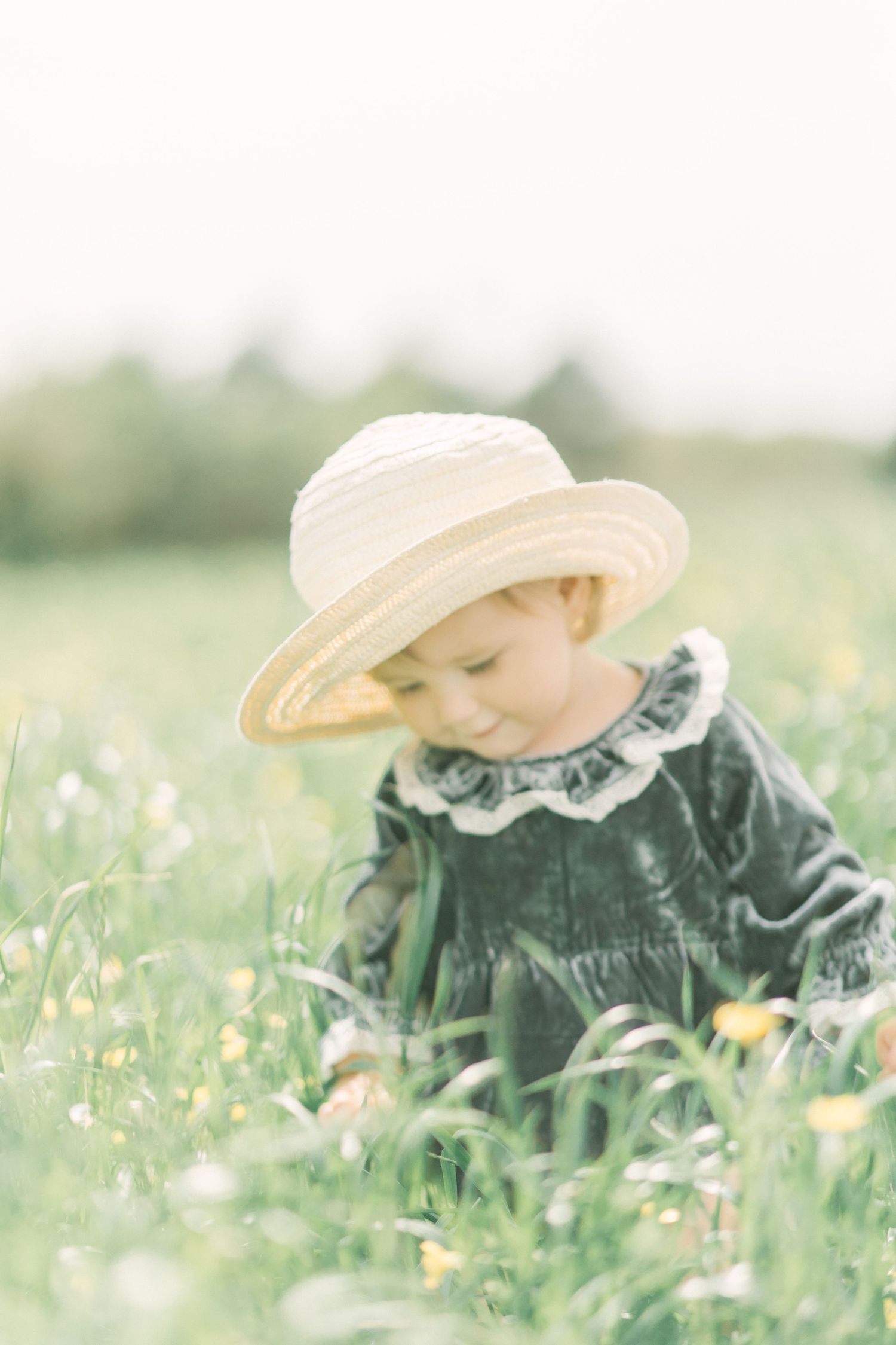A small girl in a velvet romper and straw hat sits among wildflowers in a Springfield, Missouri meadow on a soft spring day.