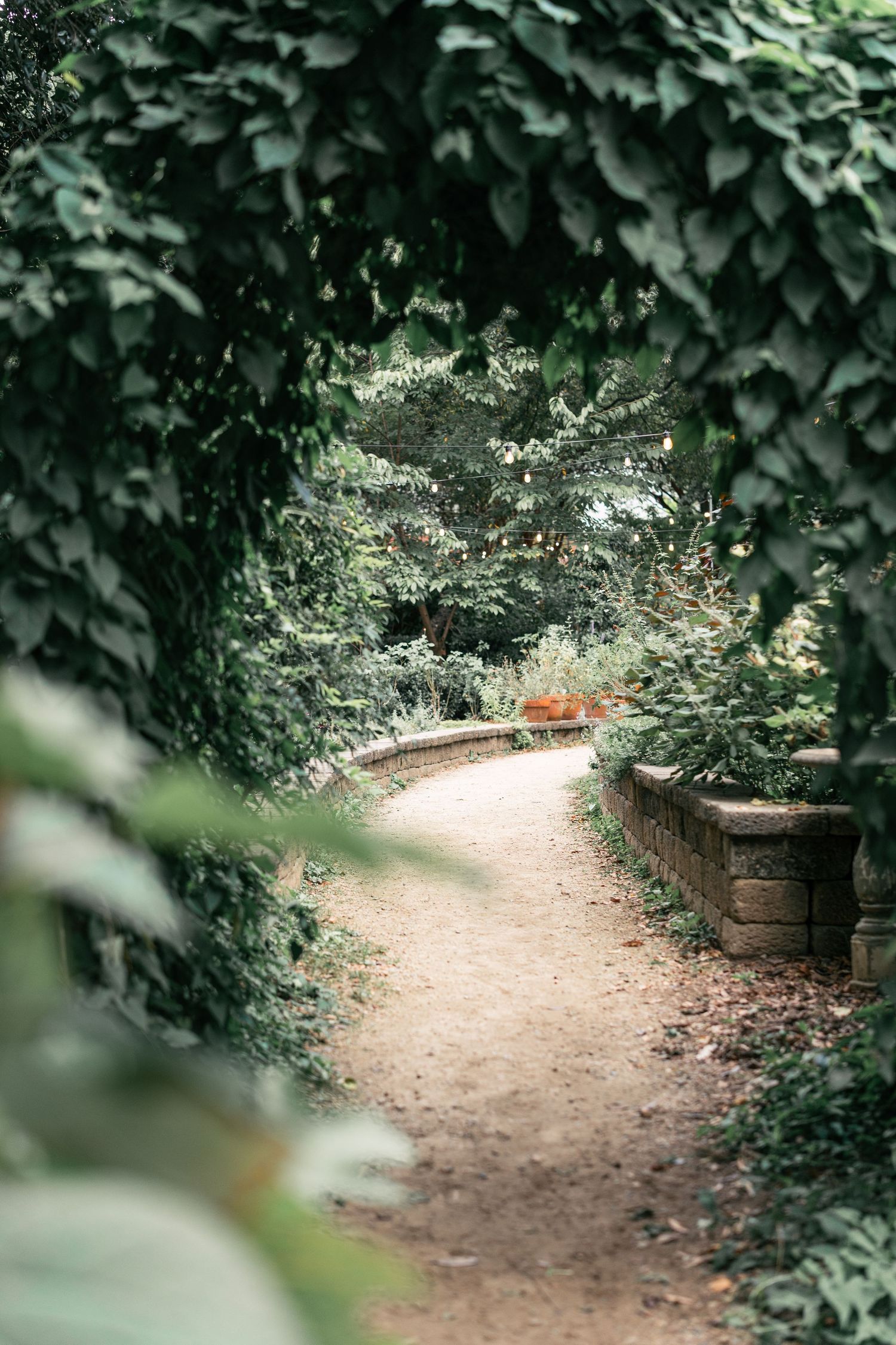 Winding garden path through lush green foliage creating a natural tunnel.