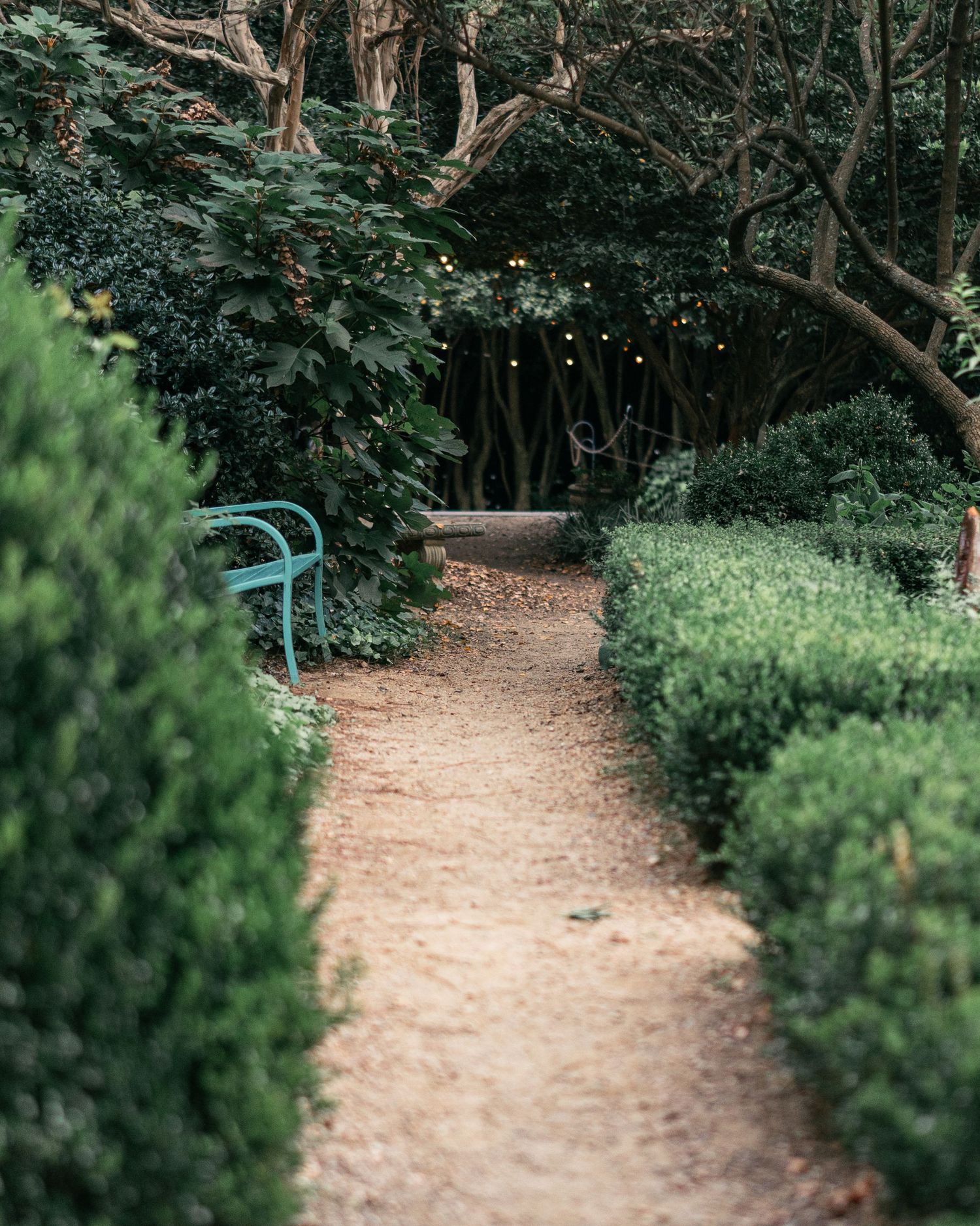 A serene garden path lined with green hedges leads to a blue chair under shaded trees.