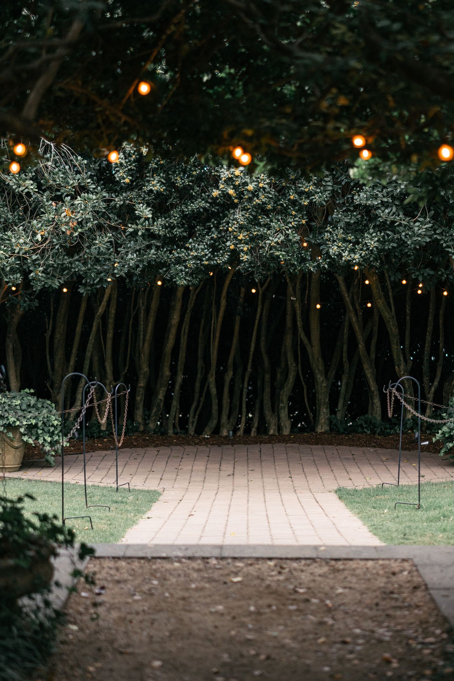 Romantic garden pathway with string lights and floral arch creating a magical tunnel effect.