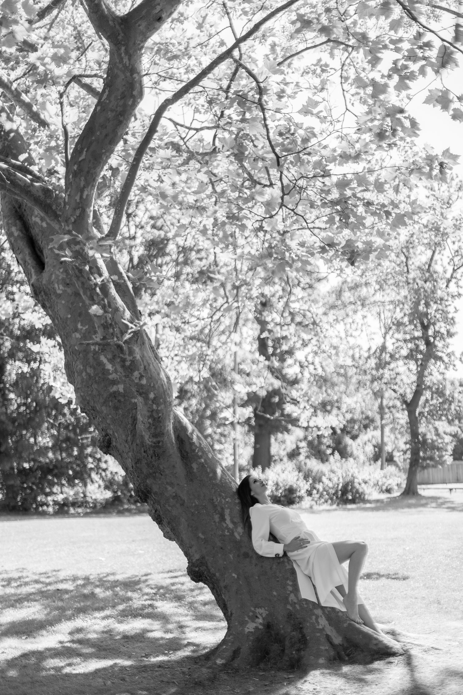 Black and white outdoor portrait of a woman with natural hair leaning against a large tree in a sunlit park
