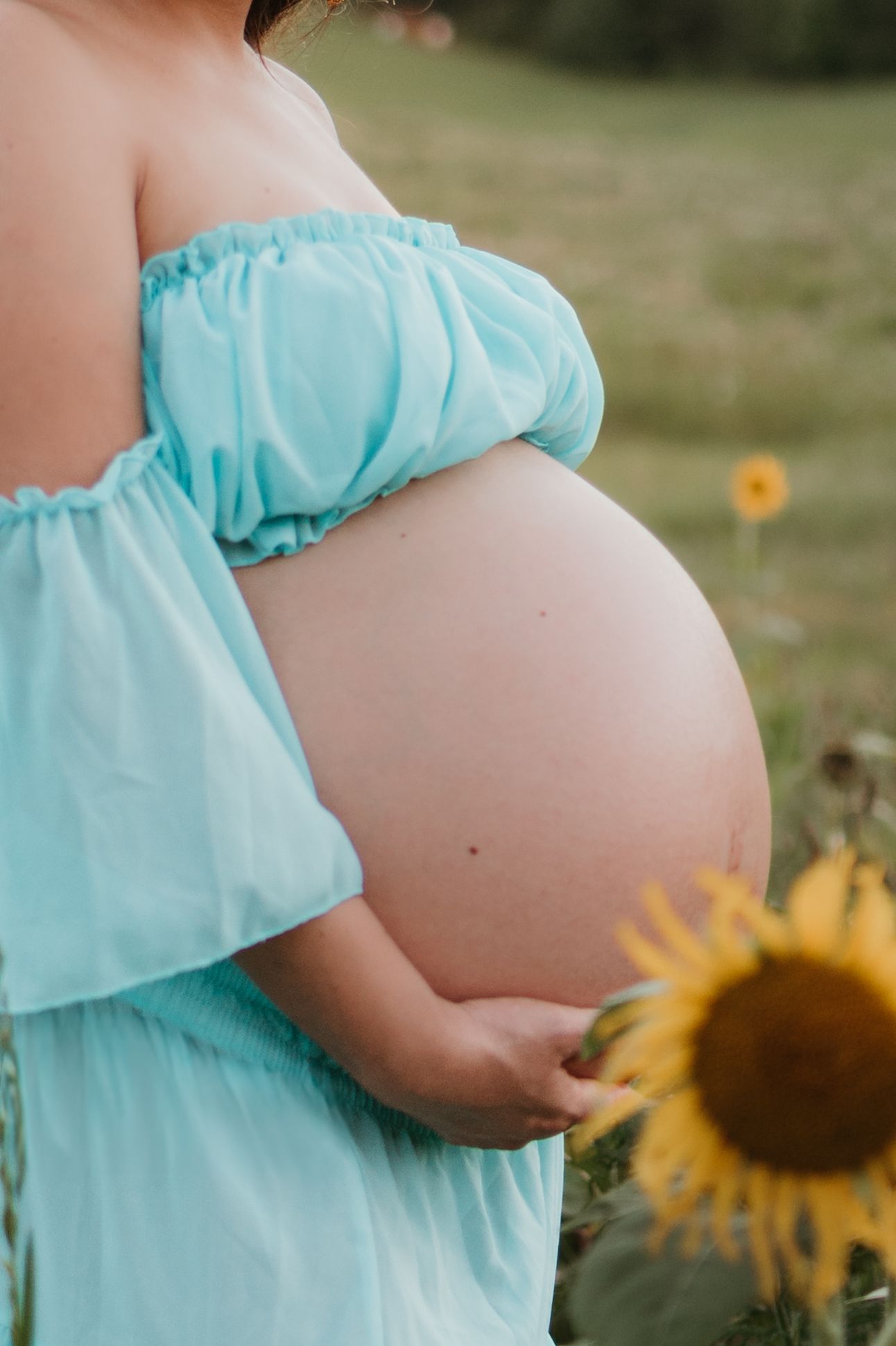 Close up of Itzayana holding belly in a sunflower field at Fox Mountain Farms, Chattanooga, TN – maternity session, soft summer light