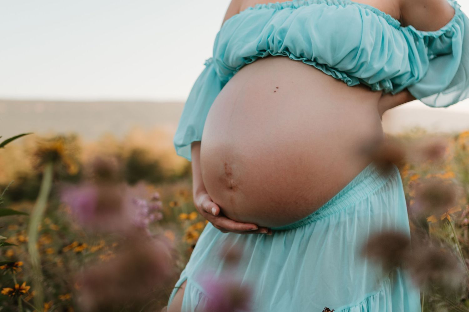 Close up of pregnant belly in a wildflower field at Fox Mountain Farms, Chattanooga, TN – maternity session, soft summer light