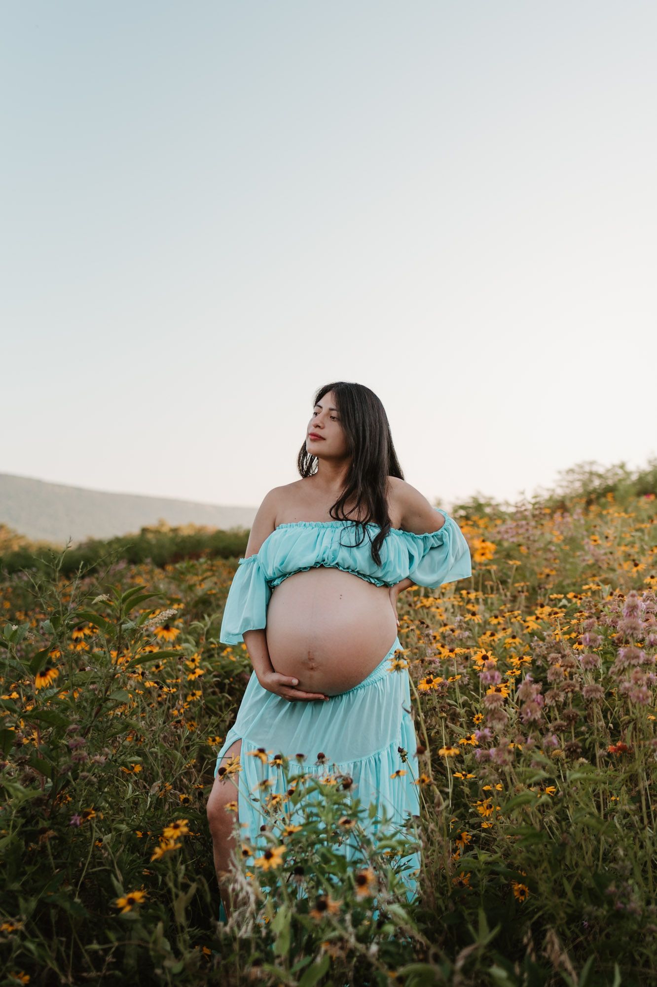 Expecting mom standing in a wildflower field during golden hour maternity session at Fox Mountain Farm in Rising Fawn, Georgia