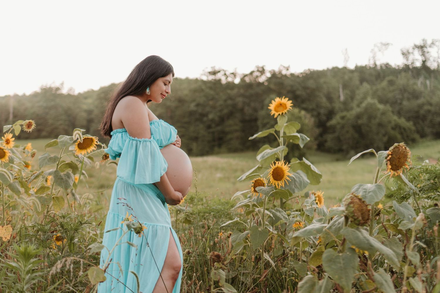 Itzayana looking down at belly in a sunflower field at Fox Mountain Farms, Chattanooga, TN – maternity session, soft summer light