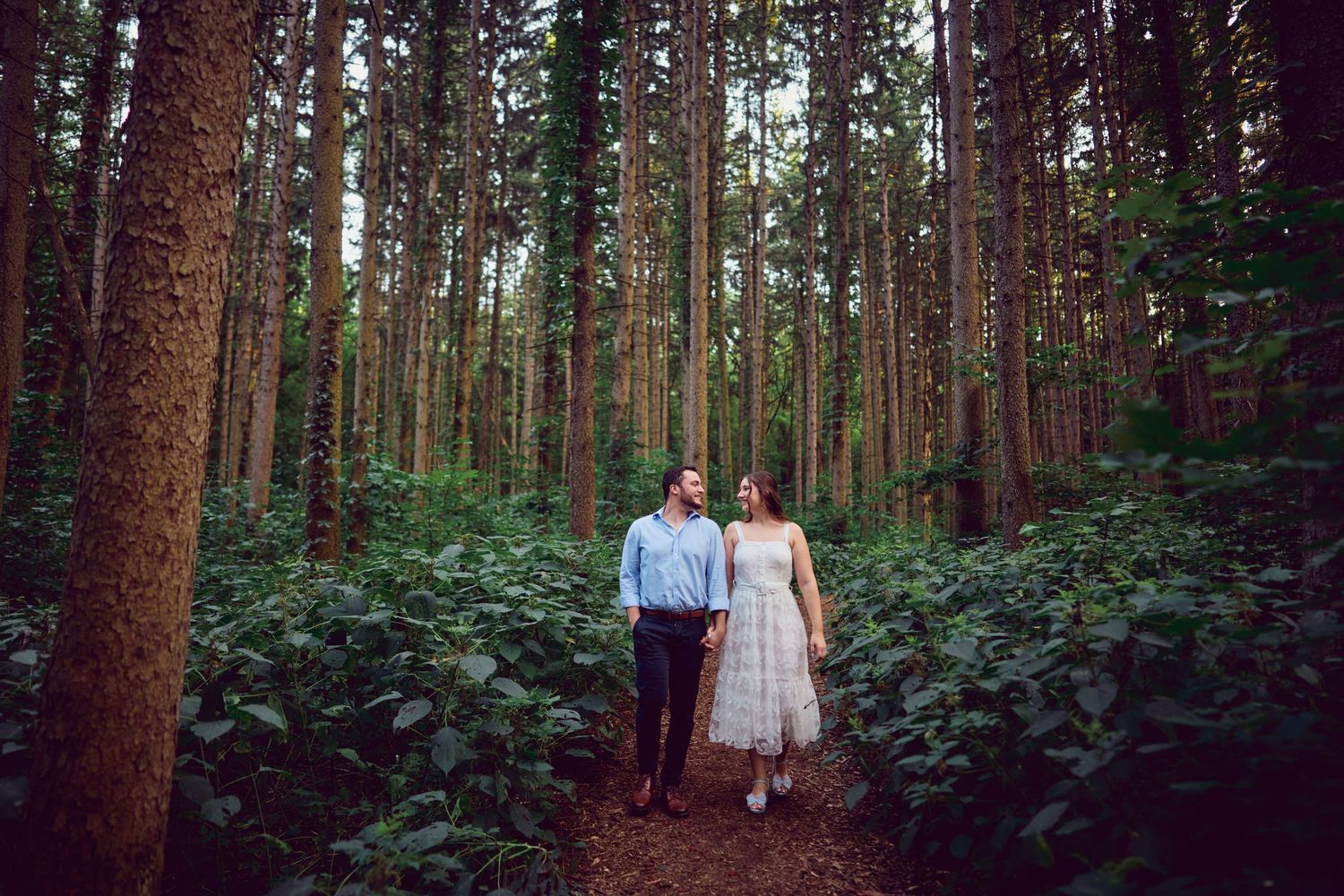 A dreamy forest path lined with tall evergreen trees and lush green undergrowth serves as a romantic natural setting.