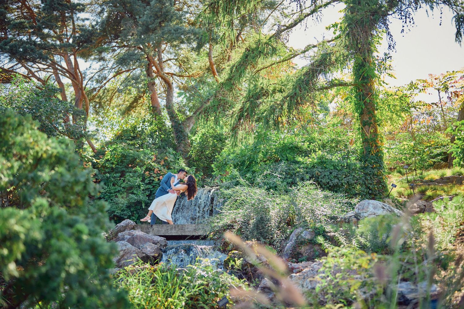 A tranquil forest scene with a person sitting peacefully on rocks surrounded by lush greenery and sunlit foliage.