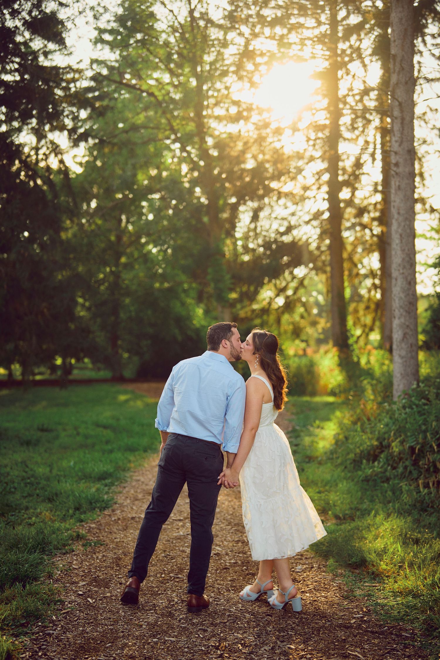 A romantic sunset moment on a forest path illuminated by golden light through towering evergreen trees.