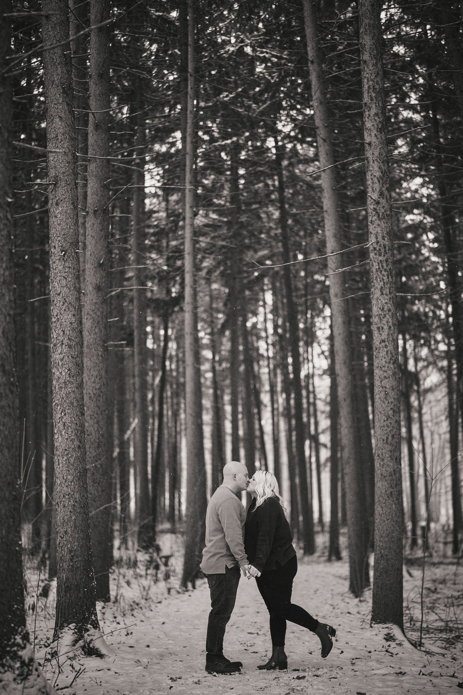 Black and white winter forest engagement photo shows two people in silhouette sharing an intimate moment between tall trees.