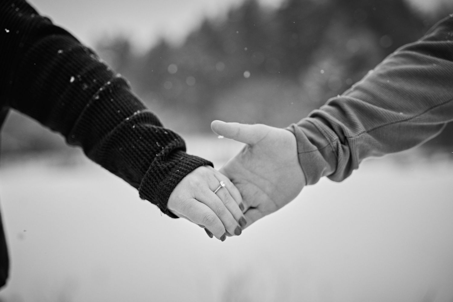 Two people holding hands in a black and white winter scene with snow falling in the background.