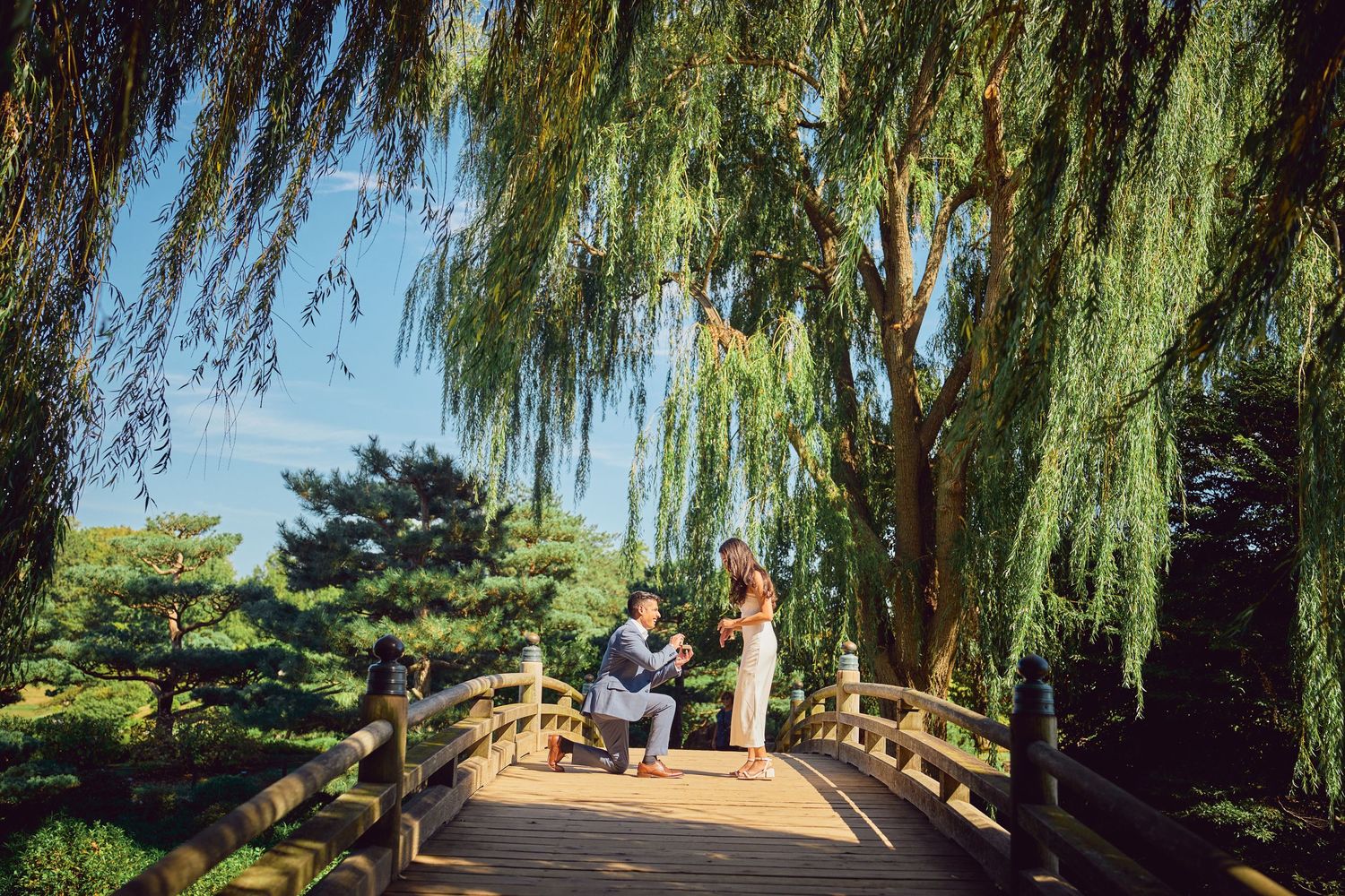 A couple stands on a wooden bridge under the cascading branches of a weeping willow tree on a sunny day.