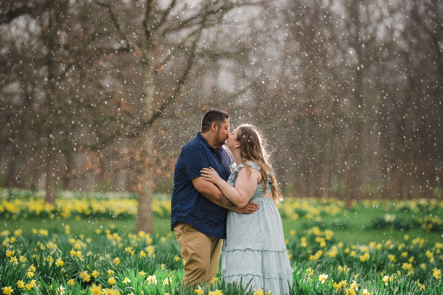 A couple embraces in a romantic spring meadow filled with blooming yellow daffodils as snow gently falls around them.